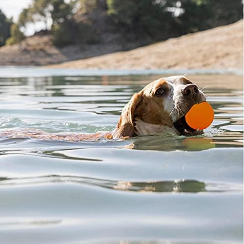 פטופדיה 2 x כדורי כלב גומי [6 סמ] כדורי פרחה בהירים לחיות מחמד עם כדורי זוהר טבעיים צעצועים לכלבים אינטראקטיביים